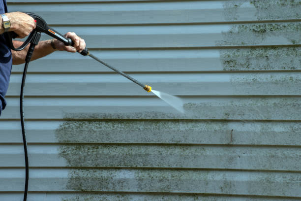 Best Best Pressure Washing Companies  in Cheboygan, MI
