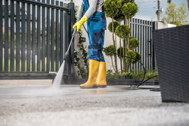 Best Fence Pressure Washing  in Cheboygan, MI