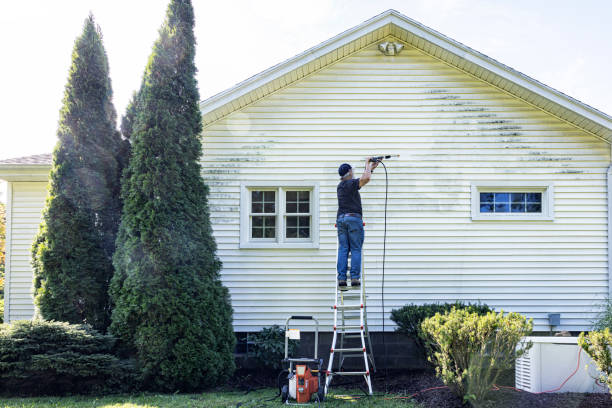 Best Deck Cleaning Services  in Cheboygan, MI