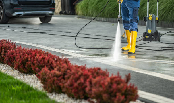 Best Residential Pressure Washing Services  in Cheboygan, MI