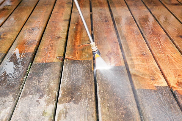 Best Pressure Washing Driveway  in Cheboygan, MI