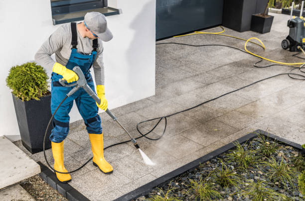 Best Fence Pressure Washing  in Cheboygan, MI