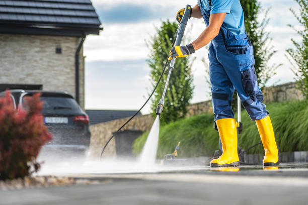 Best Affordable Pressure Washing  in Cheboygan, MI