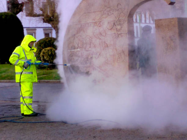Best Pressure Washing Siding  in Cheboygan, MI