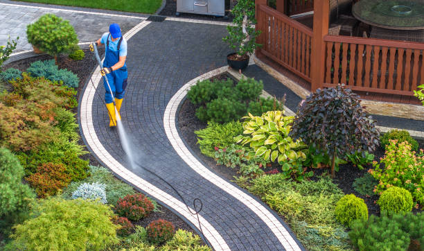 Best Commercial Building Pressure Washing  in Cheboygan, MI