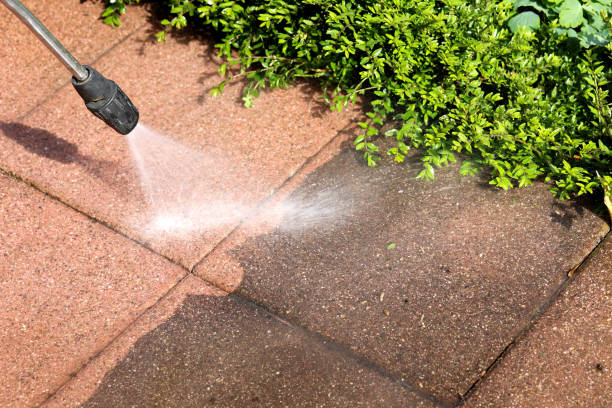 Best Deck Pressure Washing  in Cheboygan, MI