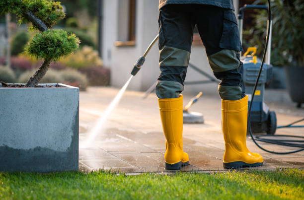Best Roof Power Washing Services  in Cheboygan, MI